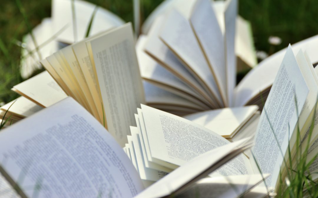 “Bassa risoluzione”