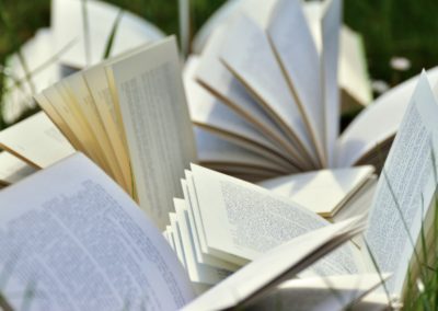 “Bassa risoluzione”