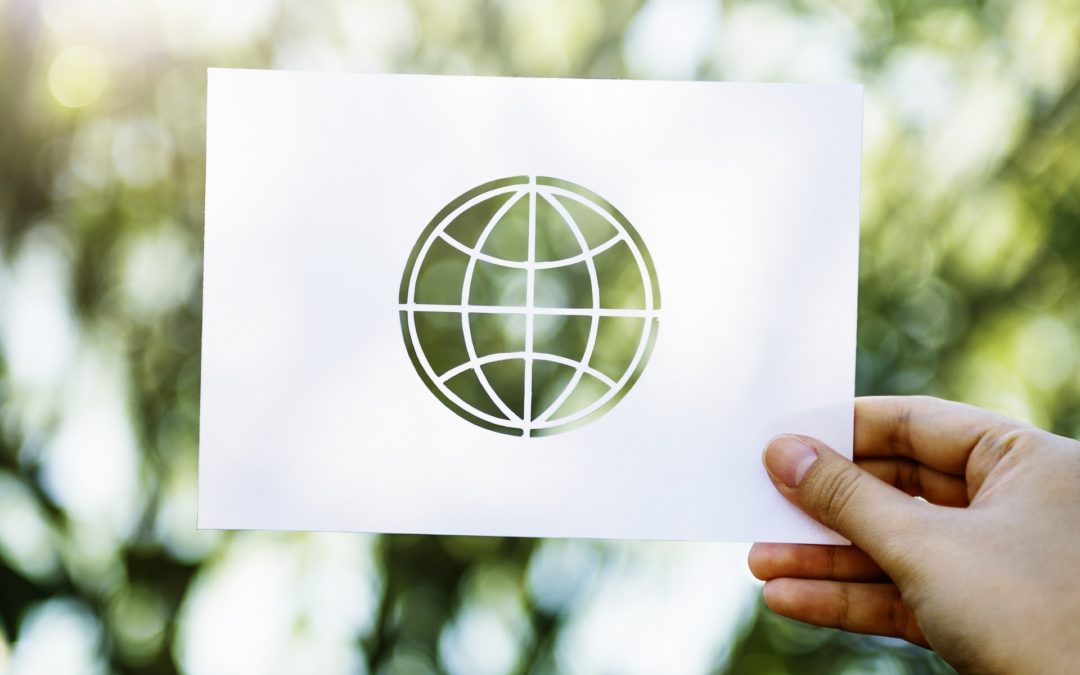 1001 intelligenze (seconda parte)