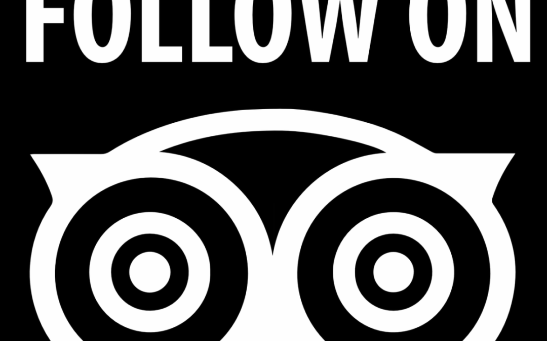 The fake side of TripAdvisor